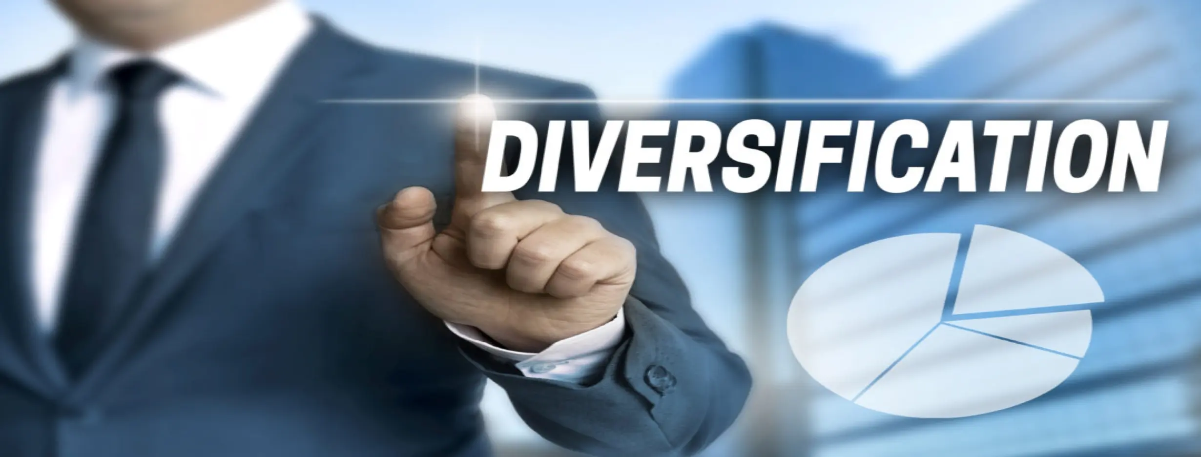 Image for Diversification